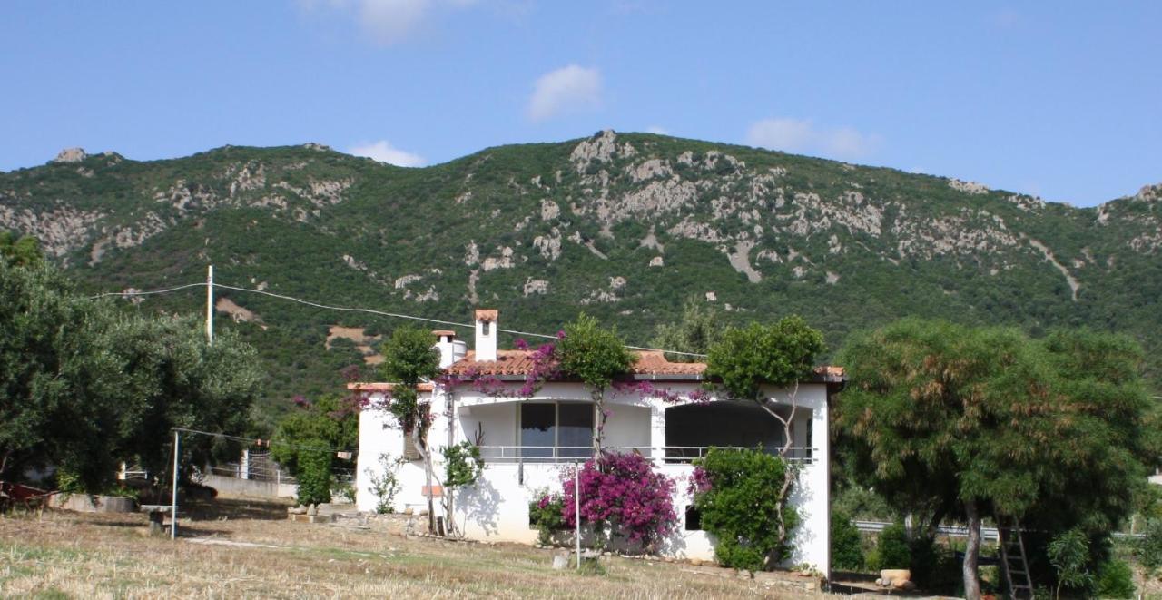 Vacanza In Ogliastra Tertenìa Exteriér fotografie