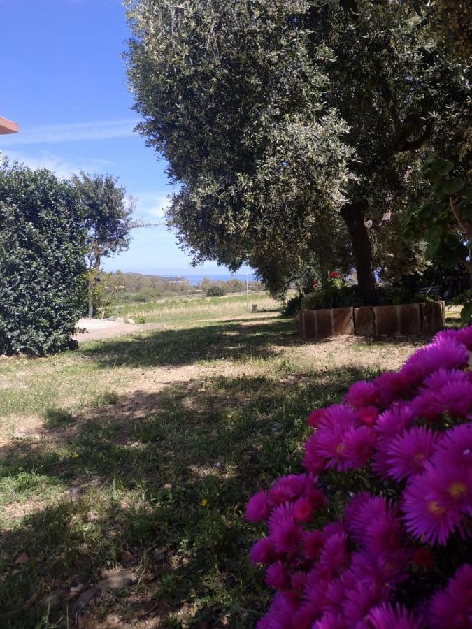 Vacanza In Ogliastra Tertenìa Exteriér fotografie