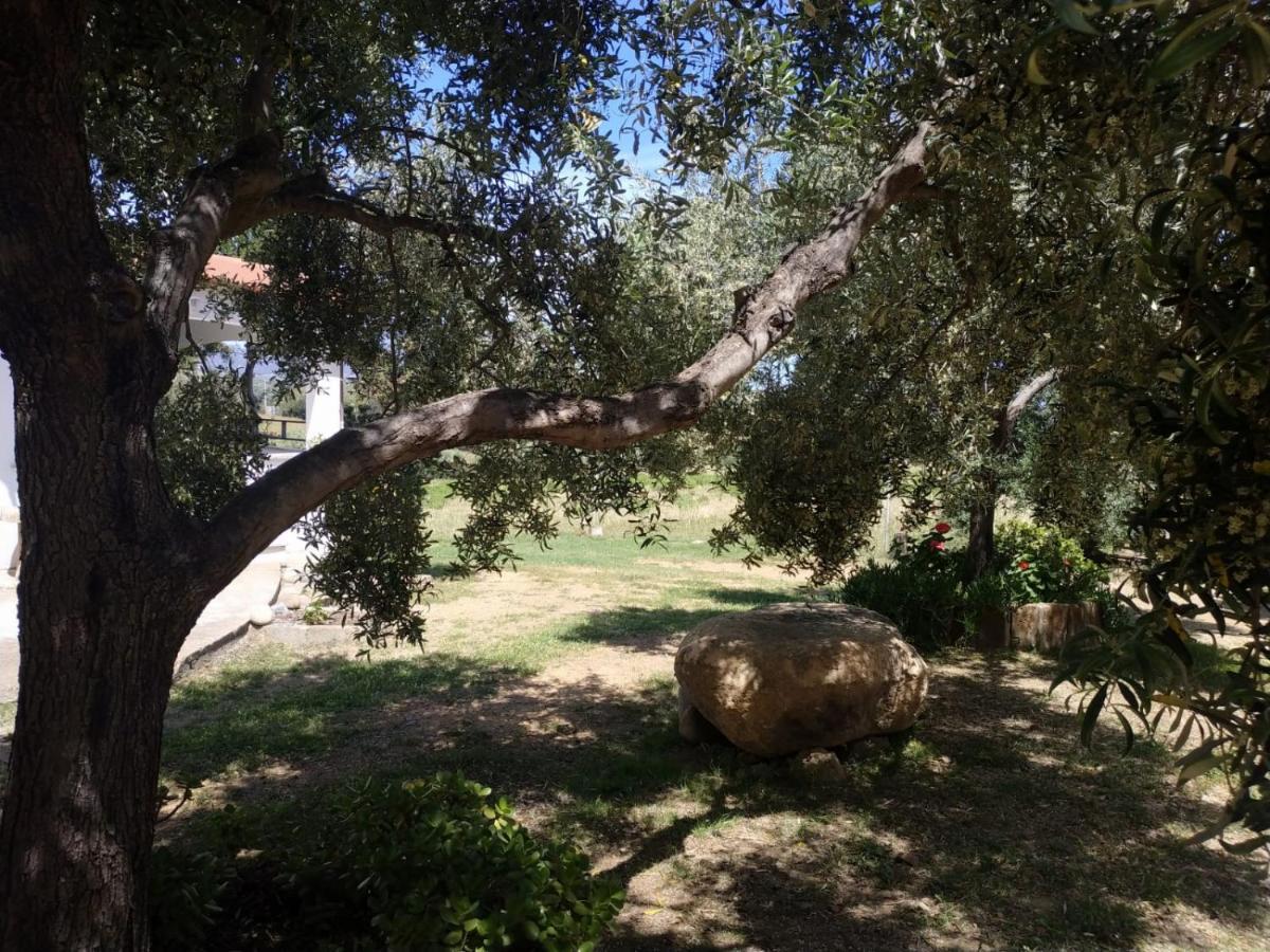 Vacanza In Ogliastra Tertenìa Exteriér fotografie