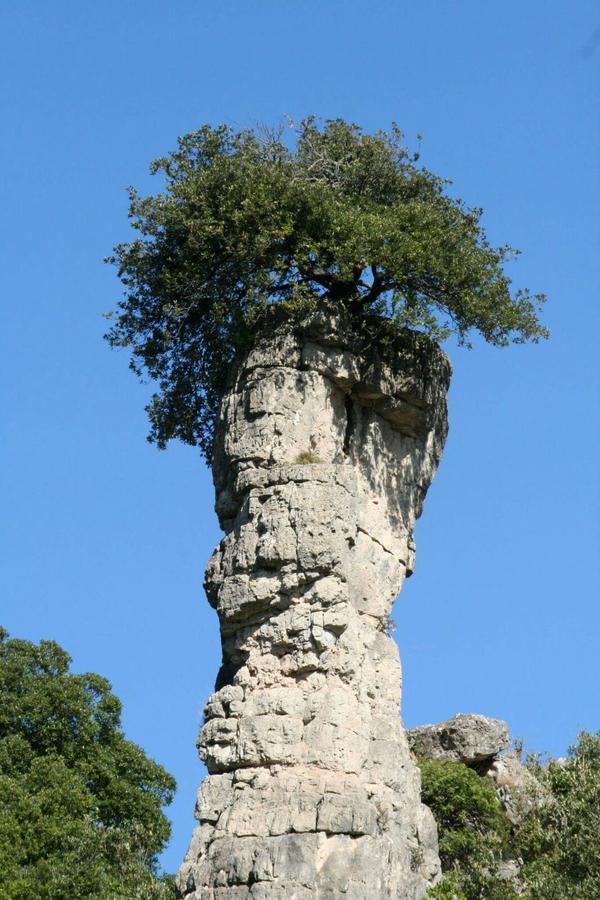 Vacanza In Ogliastra Tertenìa Exteriér fotografie