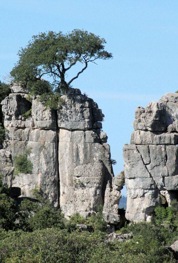 Vacanza In Ogliastra Tertenìa Exteriér fotografie