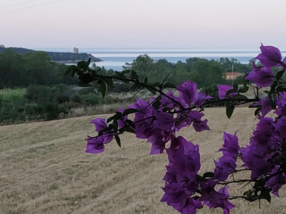 Vacanza In Ogliastra Tertenìa Exteriér fotografie